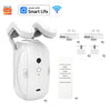 Smart Automatic Curtain Opener