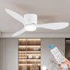 Modern Lighted Ceiling Fan