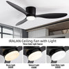 Modern Lighted Ceiling Fan