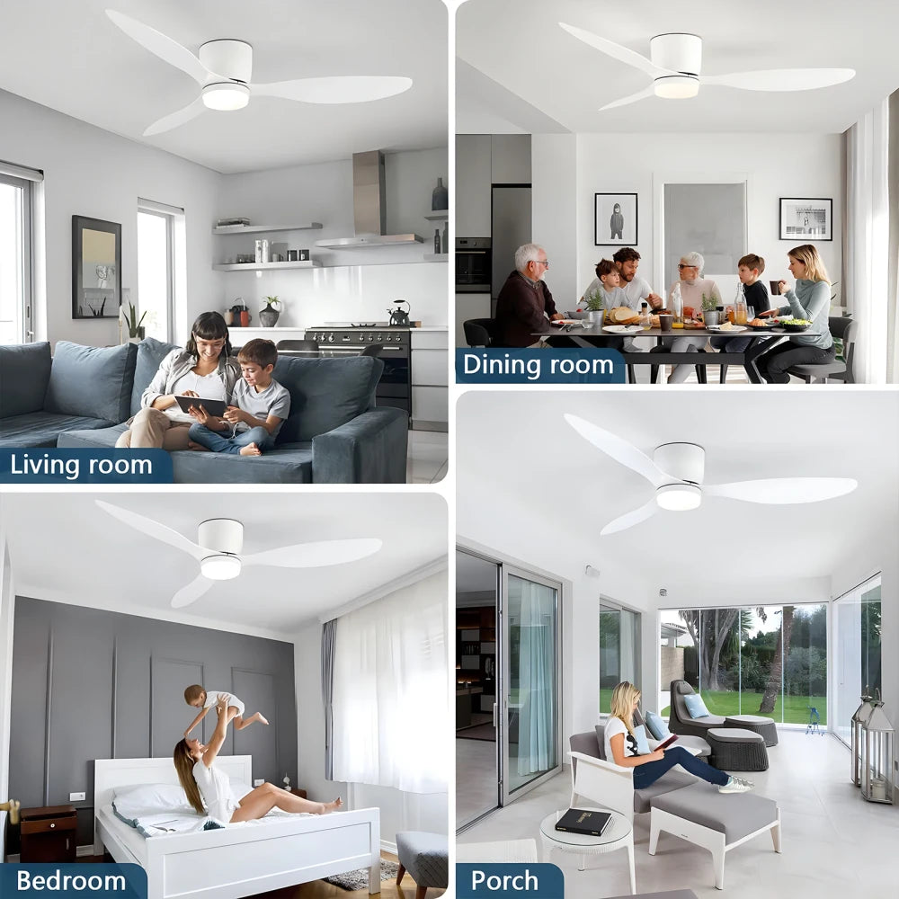 Modern Lighted Ceiling Fan