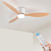 Modern Lighted Ceiling Fan
