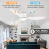 Modern Lighted Ceiling Fan