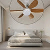 Wireless Remote Ceiling Fan Light