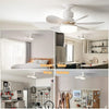 LED Ceiling Fan Light with Remote